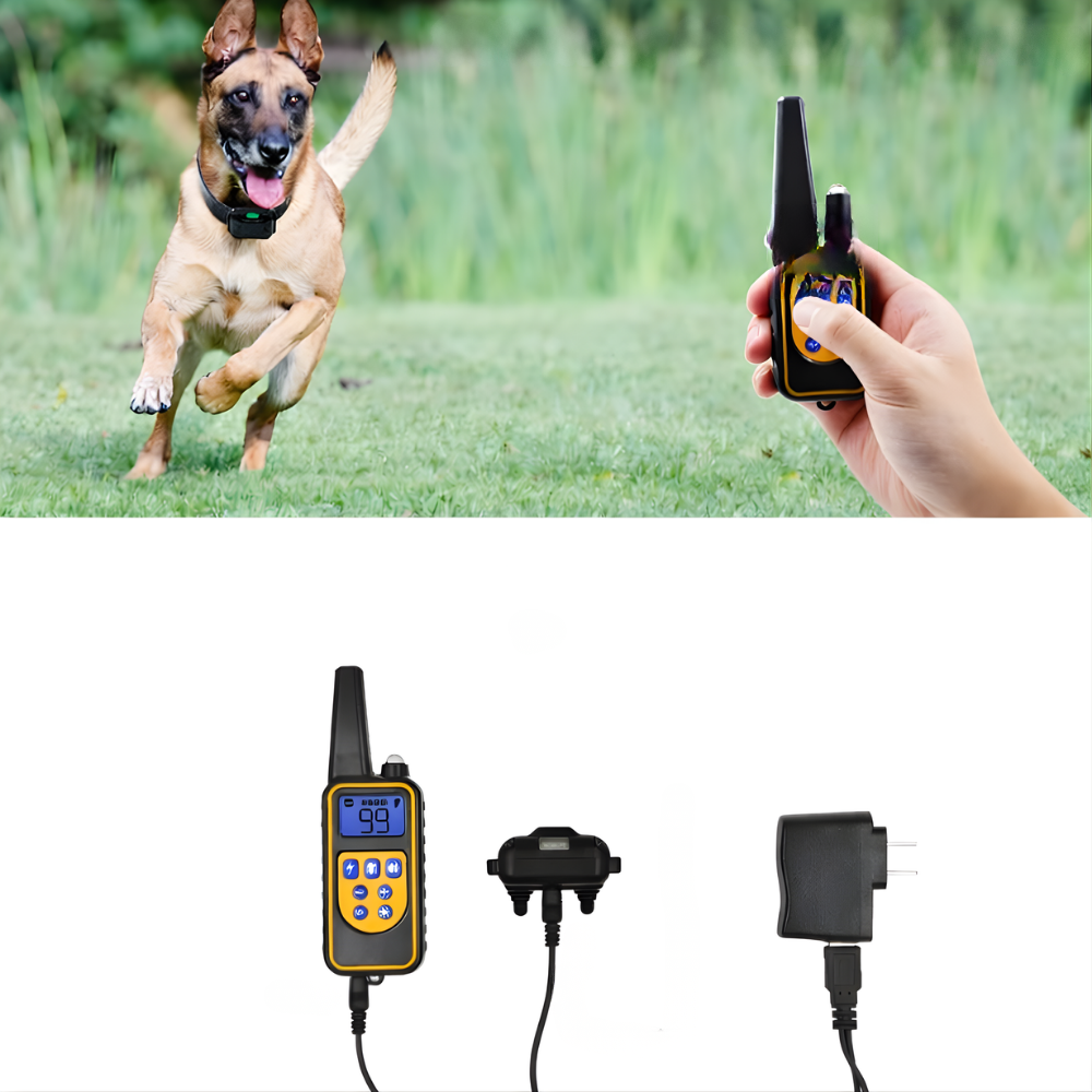 Collare Elettrico per Addestramento Cani con Telecomando Portata 800m