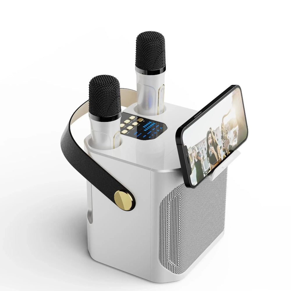 Altoparlante Bluetooth Karaoke Portatile Boombox Stereo con Microfono