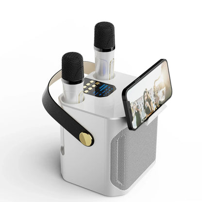 Altoparlante Bluetooth Karaoke Portatile Boombox Stereo con Microfono