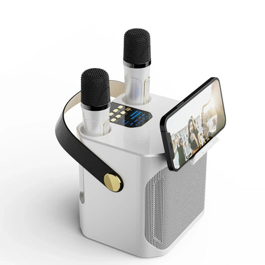 Portable Bluetooth Karaoke Speaker Boombox Stereo Microphone