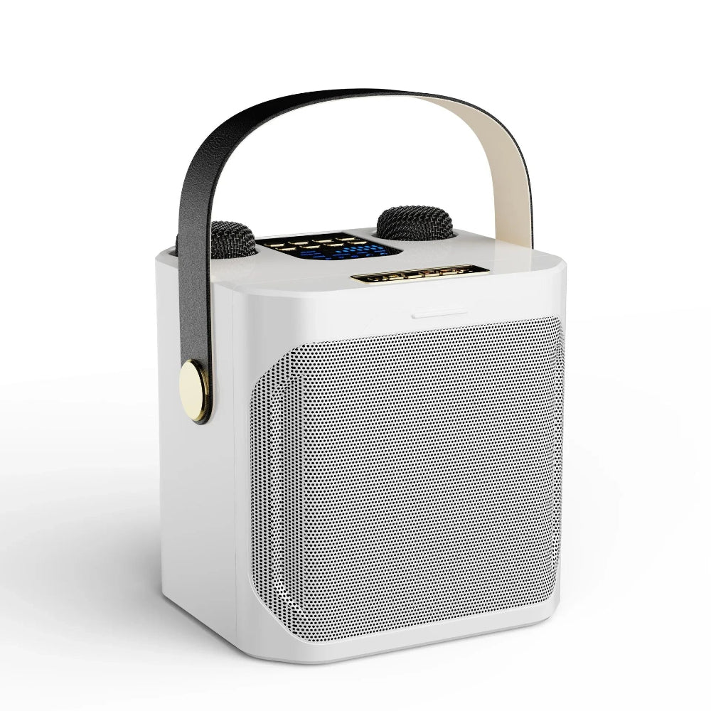 Altoparlante Bluetooth Karaoke Portatile Boombox Stereo con Microfono