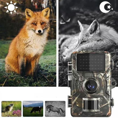 Forest Camera Infrared Trail Camera Hiking Outdoor