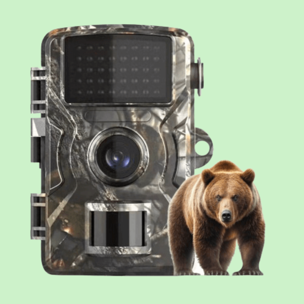 Outdoor Nature Camera with Night Vision, Waterproof