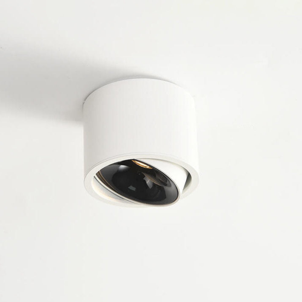 Lampa Sufitowa LED Natynkowa Regulowana Nowoczesna 12