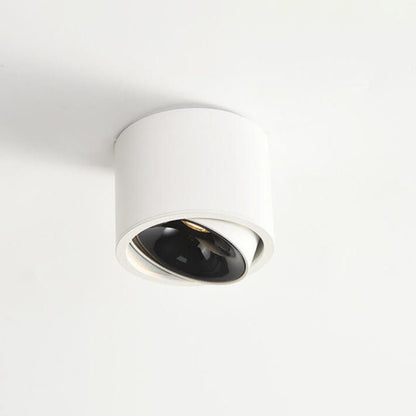 Lampa Sufitowa LED Natynkowa Regulowana Nowoczesna 12