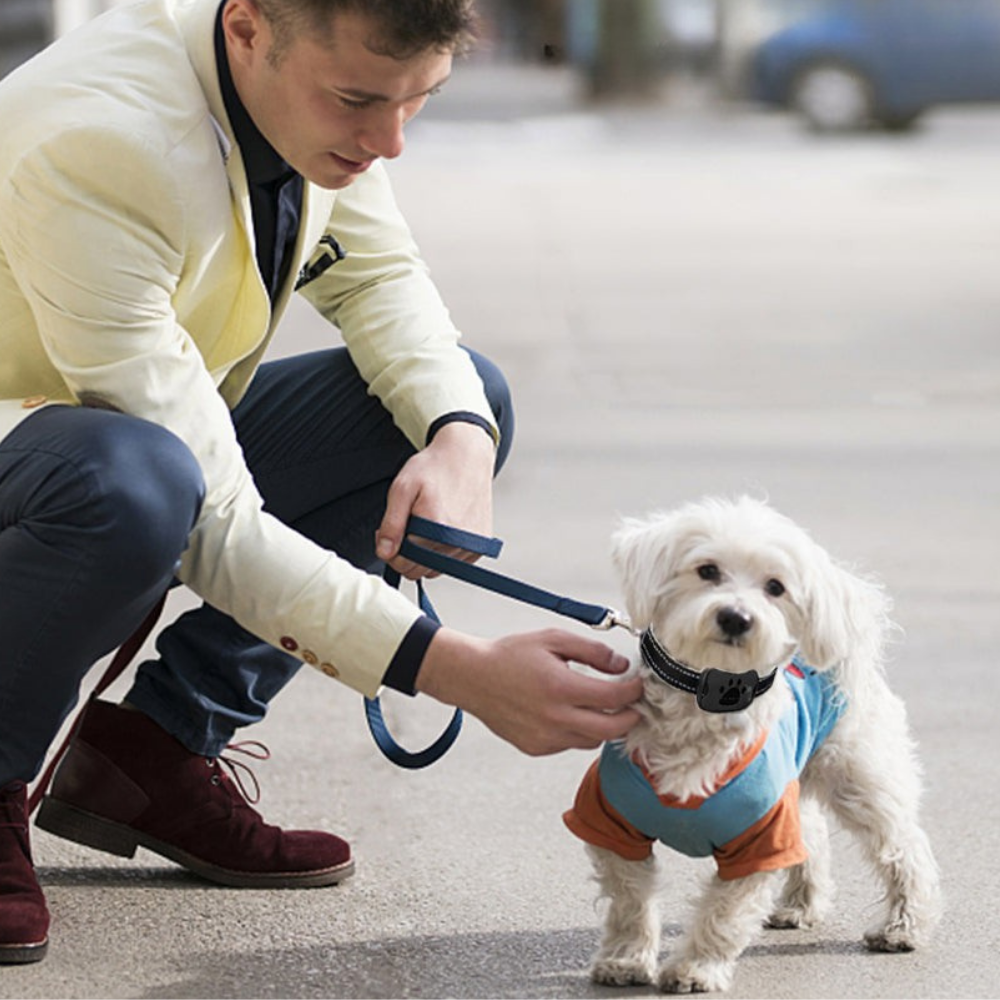 Wireless Anti-Bark Training Collar for Dog