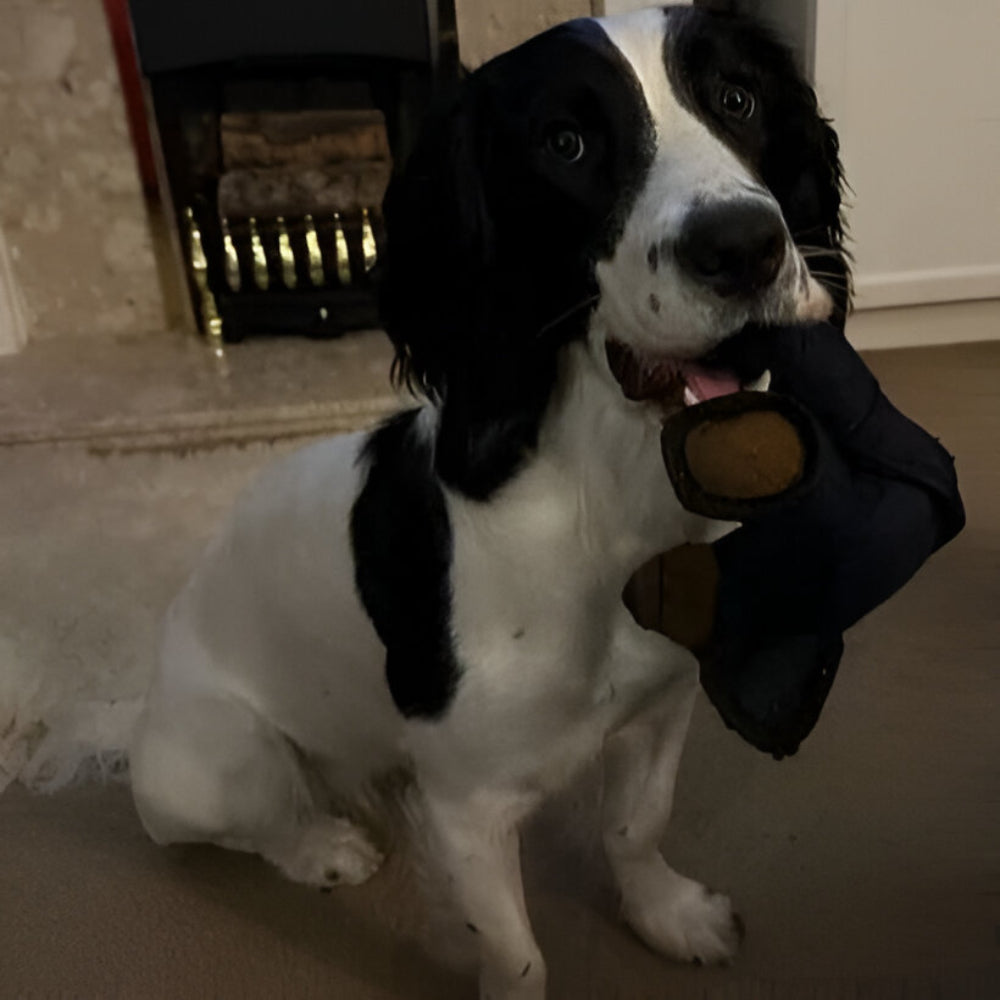 Psa Zabawka Wytrzymała Pluszowa Żucie Mocna Duże Rasy