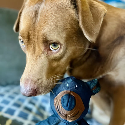 Psa Zabawka Wytrzymała Pluszowa Żucie Mocna Duże Rasy