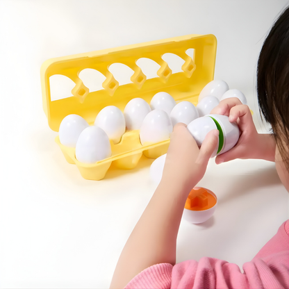 Educational Toy Eggs Shape Matching for Children