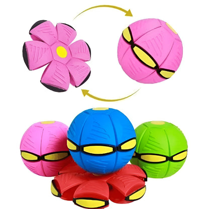 Zabawka Psa Interaktywna Latająca Piłka Talerz do Zabawy