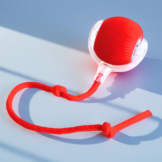 Zabawka dla Kota Interaktywna Silikonowa Piłka Ruchu Automatycznego