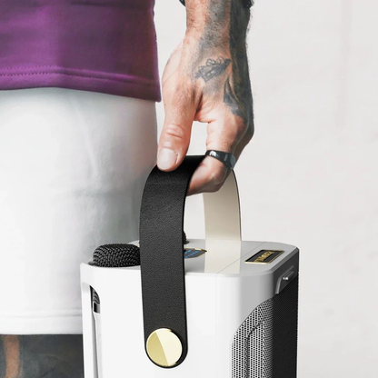 Altoparlante Bluetooth Karaoke Portatile Boombox Stereo con Microfono