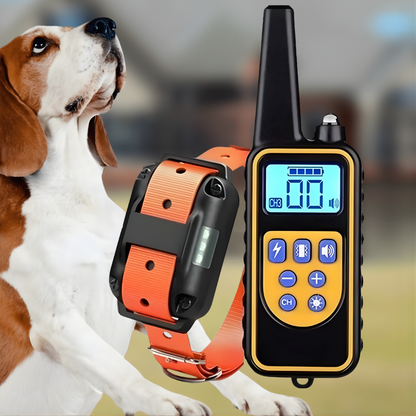 Collare Elettrico per Addestramento Cani con Telecomando Portata 800m