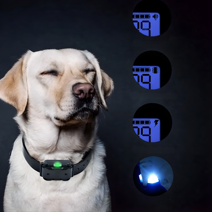 Collare Elettrico per Addestramento Cani con Telecomando Portata 800m