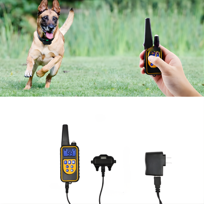 Collare Elettrico per Addestramento Cani con Telecomando Portata 800m