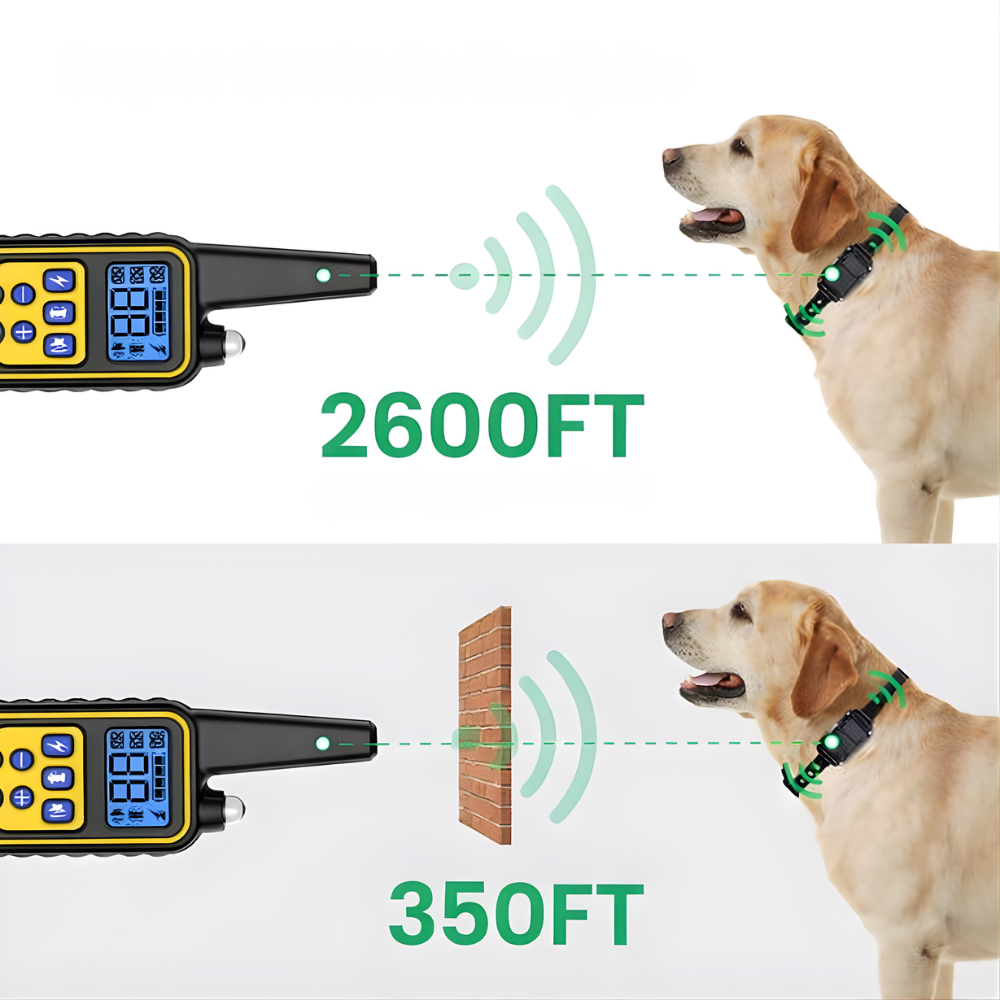 Collare Elettrico per Addestramento Cani con Telecomando Portata 800m