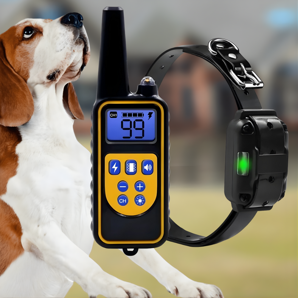 Collare Elettrico per Addestramento Cani con Telecomando Portata 800m